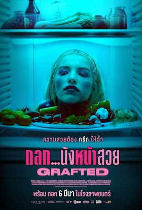 ดูหนัง