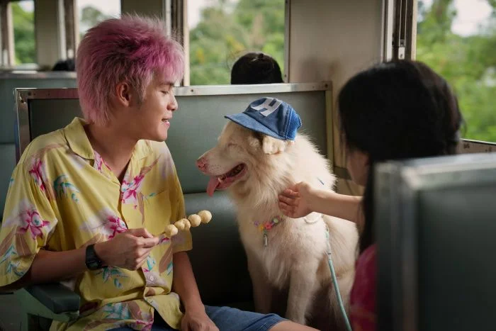 ดูหนัง
